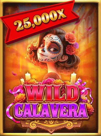 btd777 btd777